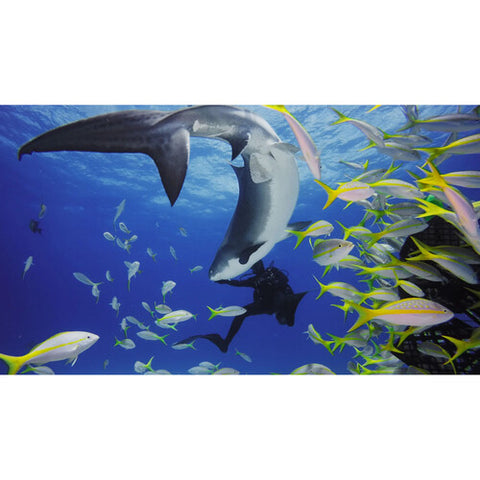 GoPro Dive Housing for Hero11 Black Mini (196')