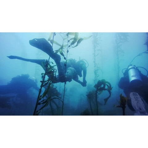 GoPro Dive Housing for Hero11 Black Mini (196')