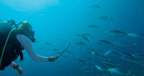 3-Way Type Retractable Pole