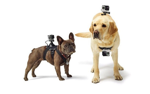 Dog Harness Mount for GoPro & Other Action Cameras