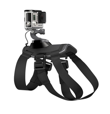 GoPro Fetch Dog Harness