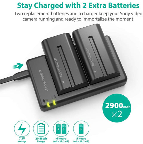Dual Battery Pack NP-F550 + Charger