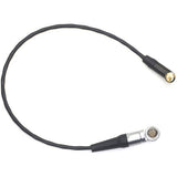 DigitalFoto 10-Pin to 3.5mm TRS Cable for Atomos Shogun (1.6')