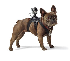 Harnais GoPro pour chien