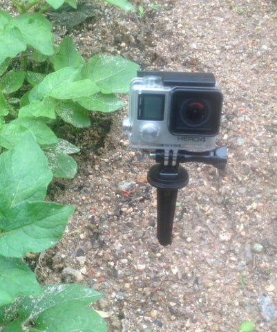 Short Spike Mount for GoPro